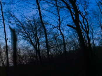 Sheltowee Trace Moonrise